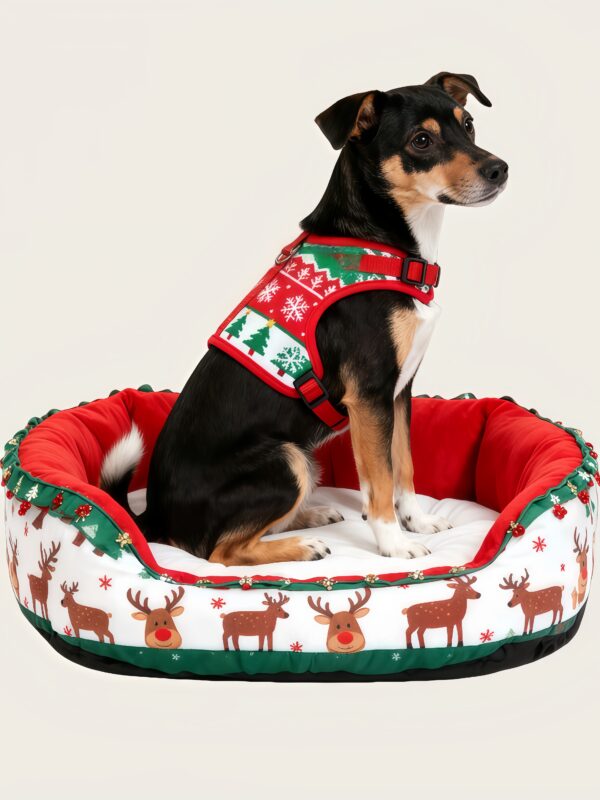 Bed -- Christmas outfit