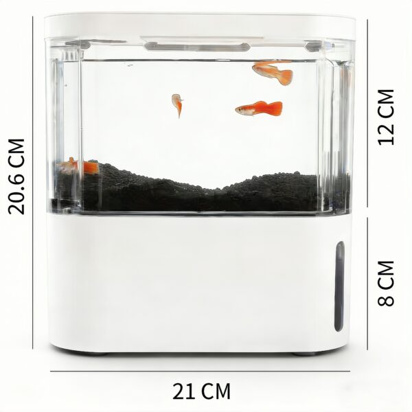 Mini Ecological Fish Tank