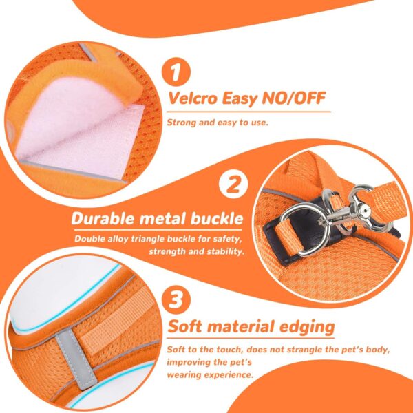 Reflective Cat Leash Set, Anti-Lost