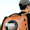 Capsule Pet Backpack