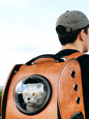 Capsule Pet Backpack