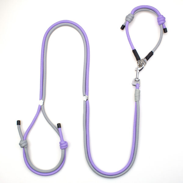 6-in-1 Multi-Function Dog Leash