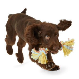 Polyester Rope Dog Toy Set（3pcs）