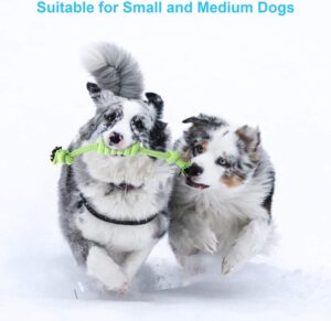 Polyester Rope Dog Toy Set （4pcs）