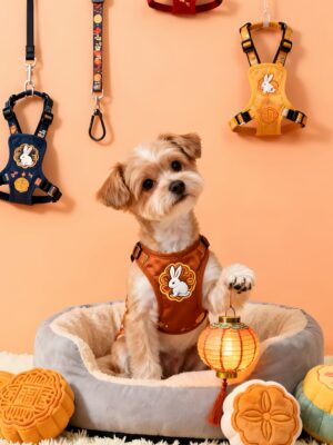 Mid-Autumn Festival outfit