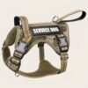 Service Dog Nylon Harness
