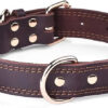 Genuine Leather Dog Collar