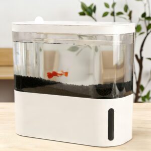 Mini Ecological Fish Tank
