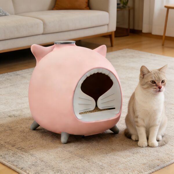 Cat Litter Box